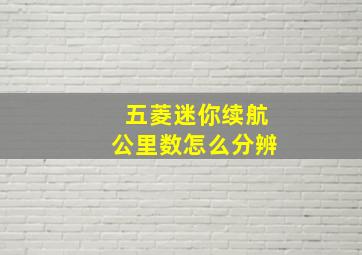 五菱迷你续航公里数怎么分辨