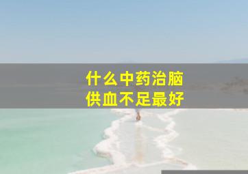 什么中药治脑供血不足最好