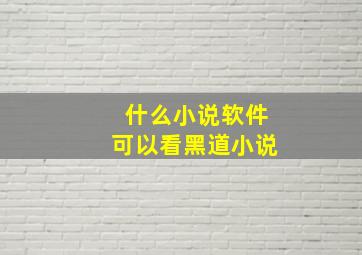 什么小说软件可以看黑道小说