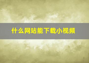 什么网站能下载小视频