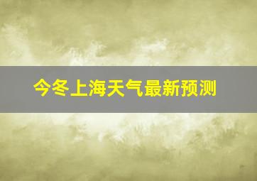 今冬上海天气最新预测