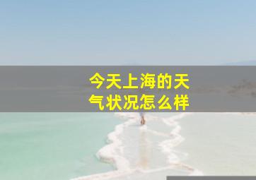 今天上海的天气状况怎么样