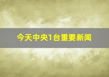 今天中央1台重要新闻