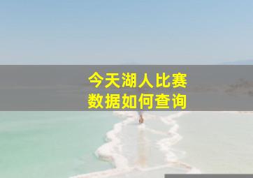 今天湖人比赛数据如何查询