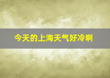 今天的上海天气好冷啊