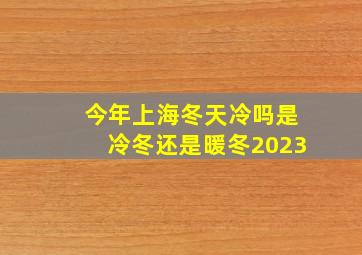 今年上海冬天冷吗是冷冬还是暖冬2023