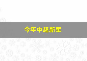 今年中超新军