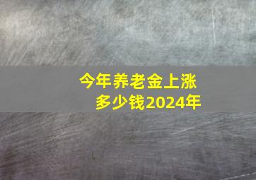 今年养老金上涨多少钱2024年