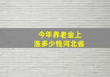 今年养老金上涨多少钱河北省