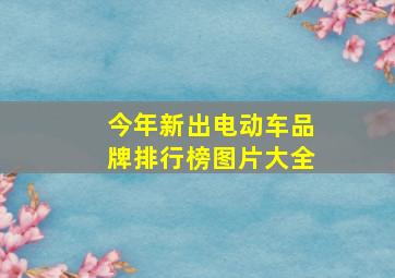 今年新出电动车品牌排行榜图片大全