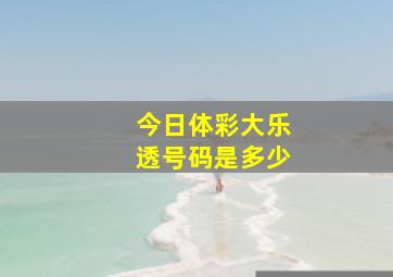 今日体彩大乐透号码是多少