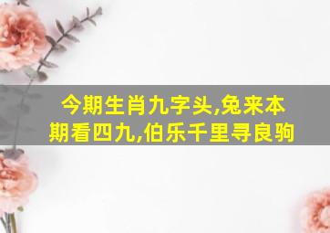 今期生肖九字头,兔来本期看四九,伯乐千里寻良驹