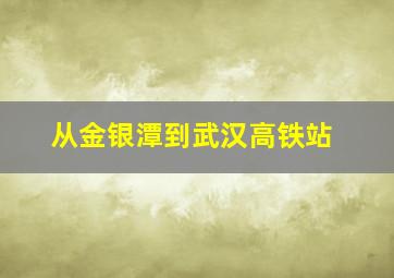 从金银潭到武汉高铁站