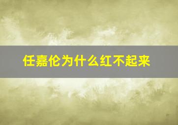 任嘉伦为什么红不起来