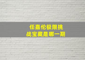 任嘉伦极限挑战宝藏是哪一期