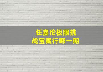 任嘉伦极限挑战宝藏行哪一期