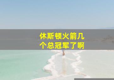 休斯顿火箭几个总冠军了啊