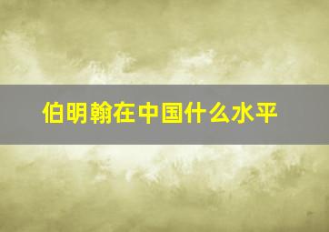 伯明翰在中国什么水平