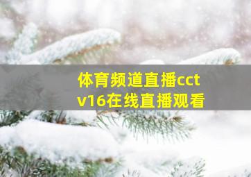 体育频道直播cctv16在线直播观看