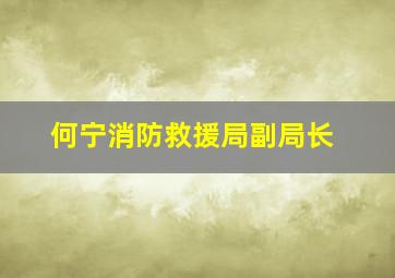 何宁消防救援局副局长