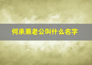 何承熹老公叫什么名字