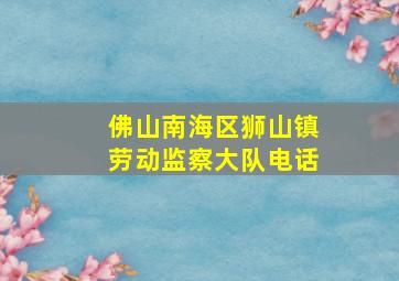 佛山南海区狮山镇劳动监察大队电话