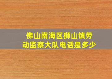 佛山南海区狮山镇劳动监察大队电话是多少