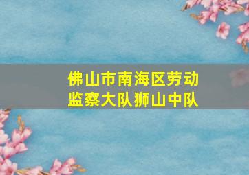 佛山市南海区劳动监察大队狮山中队