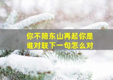 你不陪东山再起你是谁对联下一句怎么对