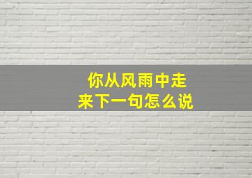 你从风雨中走来下一句怎么说