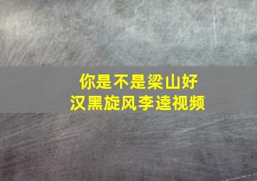 你是不是梁山好汉黑旋风李逵视频