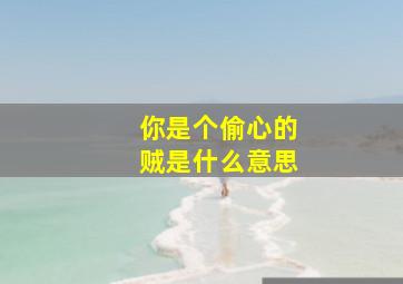 你是个偷心的贼是什么意思