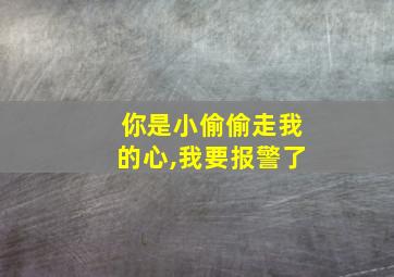 你是小偷偷走我的心,我要报警了