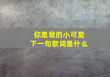 你是我的小可爱下一句歌词是什么