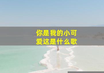 你是我的小可爱这是什么歌