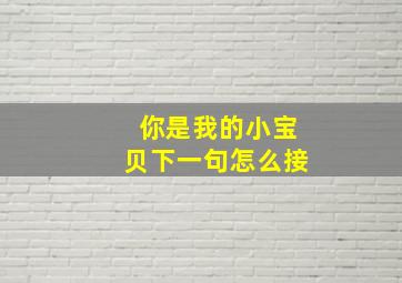 你是我的小宝贝下一句怎么接