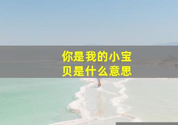 你是我的小宝贝是什么意思