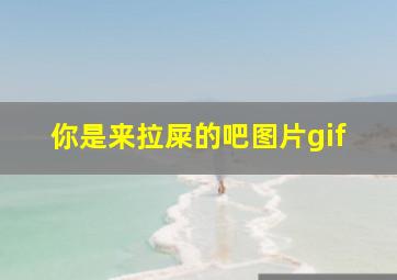 你是来拉屎的吧图片gif