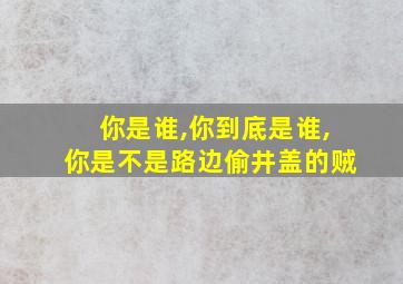 你是谁,你到底是谁,你是不是路边偷井盖的贼