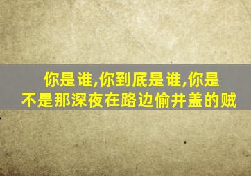 你是谁,你到底是谁,你是不是那深夜在路边偷井盖的贼