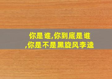 你是谁,你到底是谁,你是不是黑旋风李逵