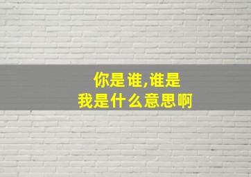 你是谁,谁是我是什么意思啊