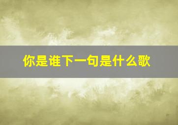 你是谁下一句是什么歌