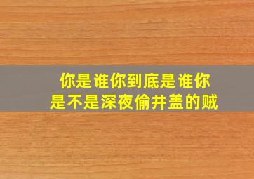 你是谁你到底是谁你是不是深夜偷井盖的贼