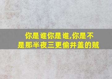 你是谁你是谁,你是不是那半夜三更偷井盖的贼