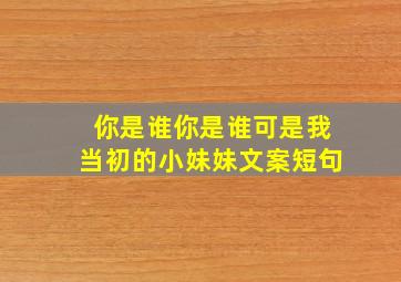 你是谁你是谁可是我当初的小妹妹文案短句