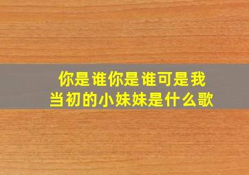 你是谁你是谁可是我当初的小妹妹是什么歌