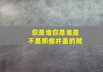 你是谁你是谁是不是那偷井盖的贼