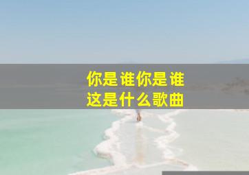 你是谁你是谁这是什么歌曲