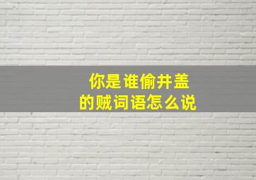 你是谁偷井盖的贼词语怎么说